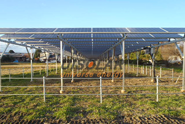 Fotovoltaïsche landbouw vult elkaar aan en gebruikt zonnepanelen om fruit te laten groeien